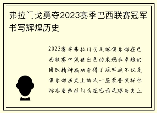 弗拉门戈勇夺2023赛季巴西联赛冠军书写辉煌历史 弗拉门戈勇夺2023赛季巴西联赛冠军书写辉煌历史