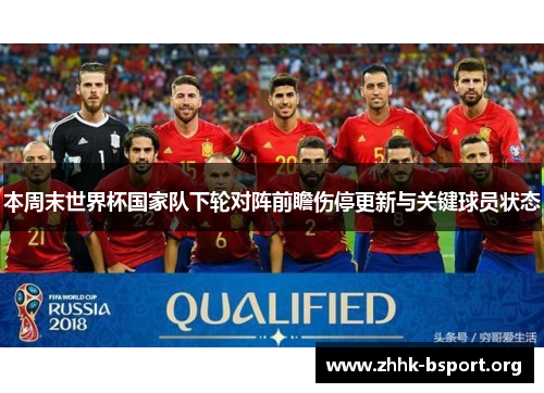 本周末世界杯国家队下轮对阵前瞻伤停更新与关键球员状态