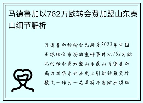 马德鲁加以762万欧转会费加盟山东泰山细节解析 马德鲁加以762万欧转会费加盟山东泰山细节解析