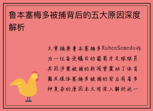 鲁本塞梅多被捕背后的五大原因深度解析